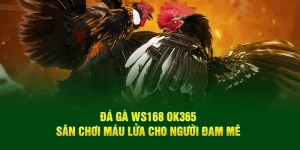 đá gà WS168