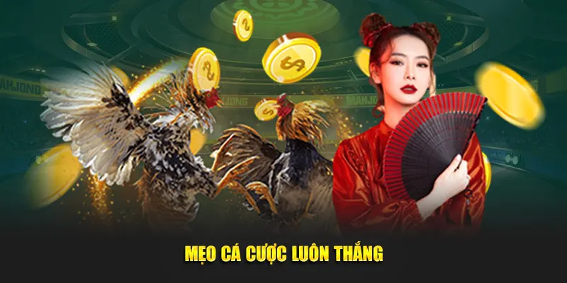 Mẹo cá cược luôn thắng