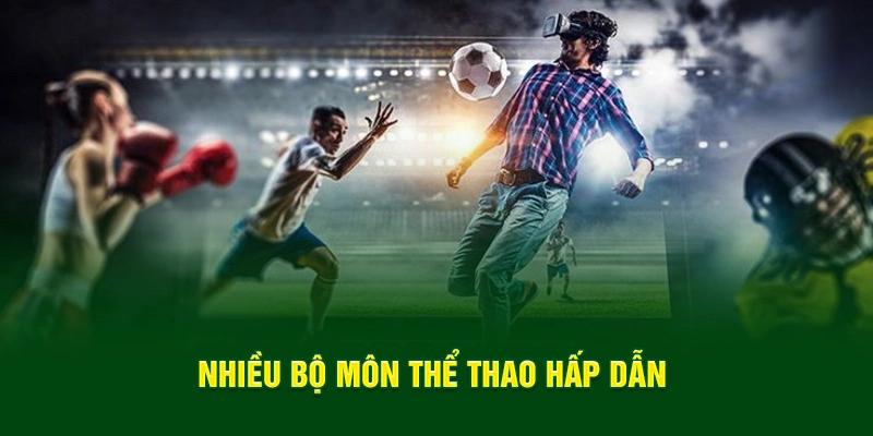 Nhiều bộ môn thể thao hấp dẫn