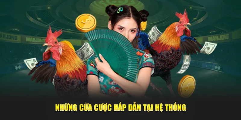 Những cửa cược hấp dẫn tại hệ thống cổng đá gà live ok365