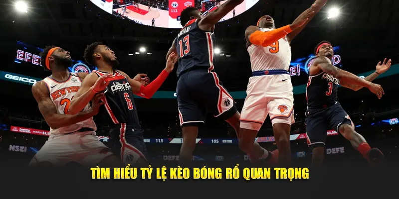 Tìm hiểu tỷ lệ kèo bóng rổ quan trọng