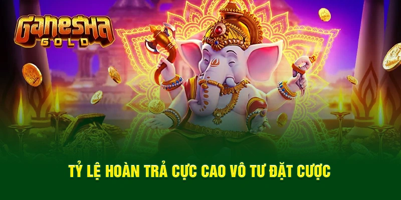 Tỷ lệ hoàn trả cực cao vô tư đặt cược